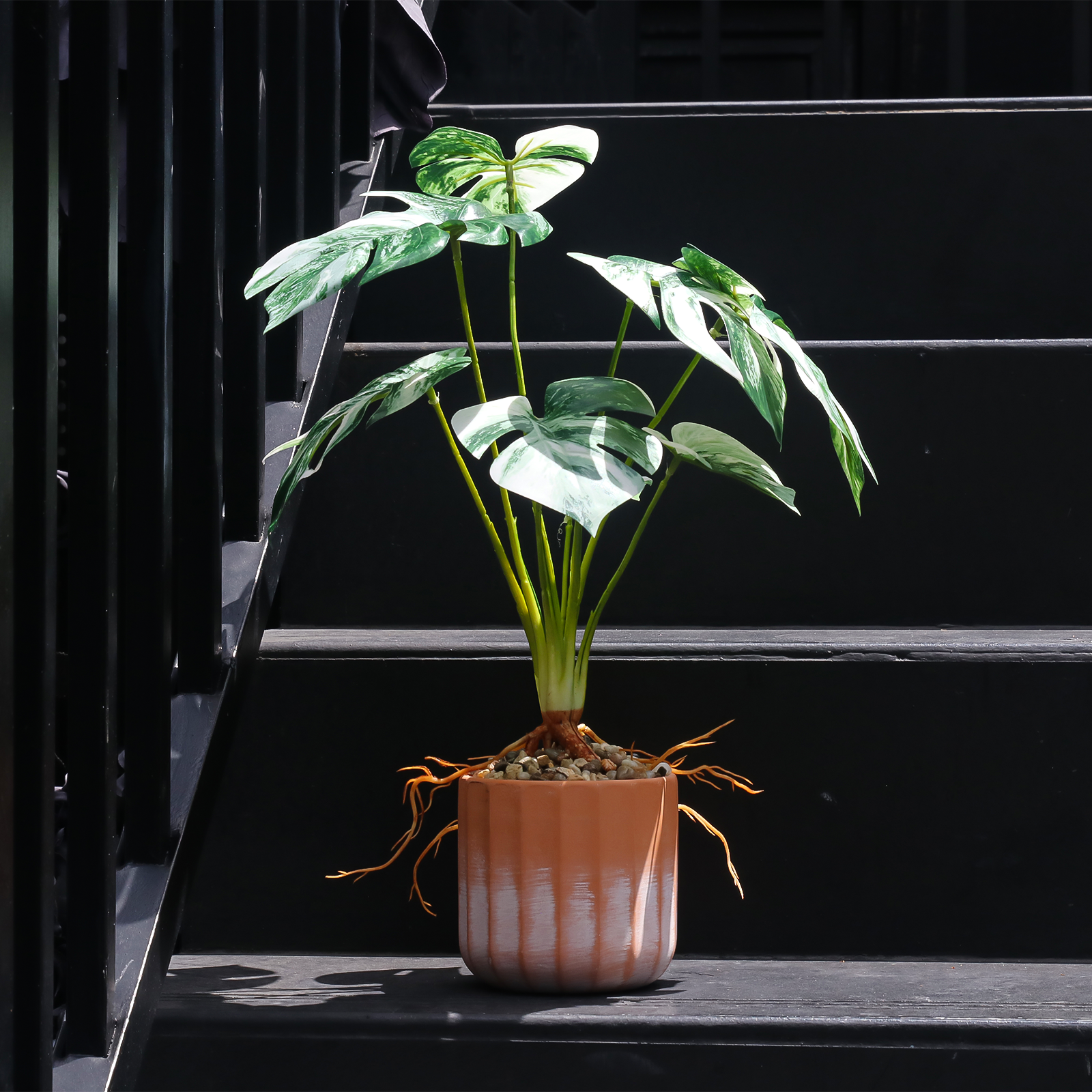 The Monstera Story: From Concept to Creation